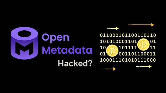 OpenMetadata Exploit